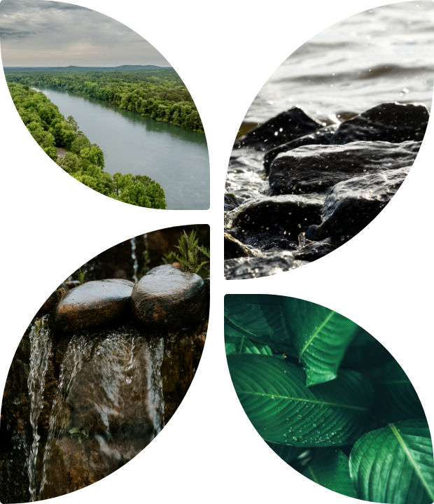 Peaceful Pictures